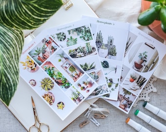 Succulent House Plant Stickers: Green Indoor Oasis, Planner Scrapbook