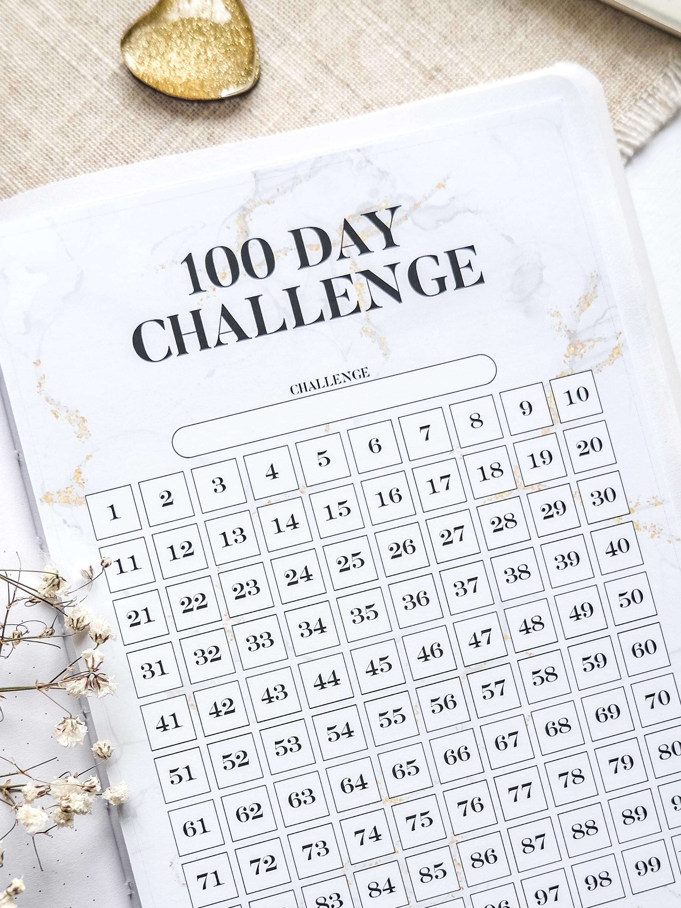 A5 100 Day Challenge Tracker Sticker – Habit Tracker Stick-in Page for ...