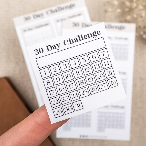 30 Day Challenge Tracker Stickers: Monthly Goal Habit Planner