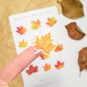 Stickers feuilles d'automne, autocollants d'agenda d'automne, autocollants esthétiques d'automne pour journal, Bullet Journal sur le thème de l'automne
