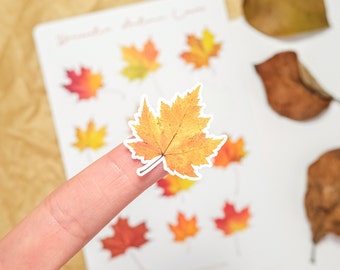 Stickervel herfstblad | Stickers herfstbladeren | Seizoensstickers | Gezellige herfststickers | Natuurstickers | Stickers esdoornblad
