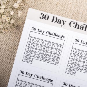 30 Day Challenge Tracker Stickers: Monthly Goal Habit Planner image 7