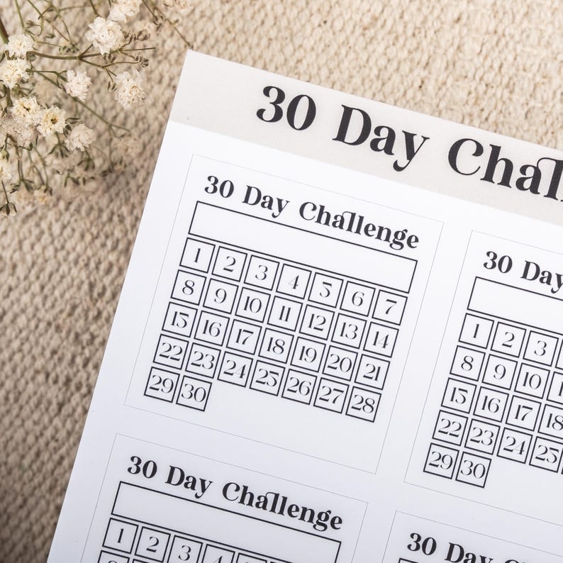 30 Day Challenge Tracker Stickers: Monthly Goal Habit Planner image 7