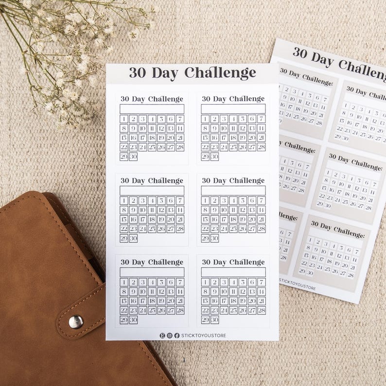 30 Day Challenge Tracker Stickers: Monthly Goal Habit Planner image 9