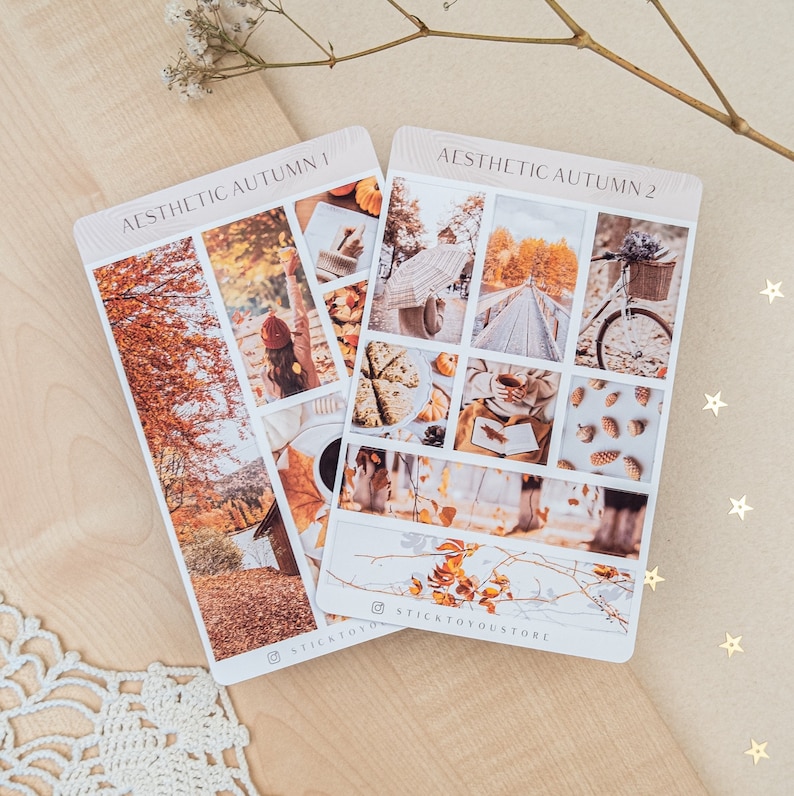 May include: Two sheets of stickers with an autumn theme. The first sheet has the text "Aesthetic Autumn 1" and features images of fall foliage, a woman in a red hat, and a cup of coffee. The second sheet has the text "Aesthetic Autumn 2" and features images of a bridge, a bicycle, a cup of tea, and pinecones.