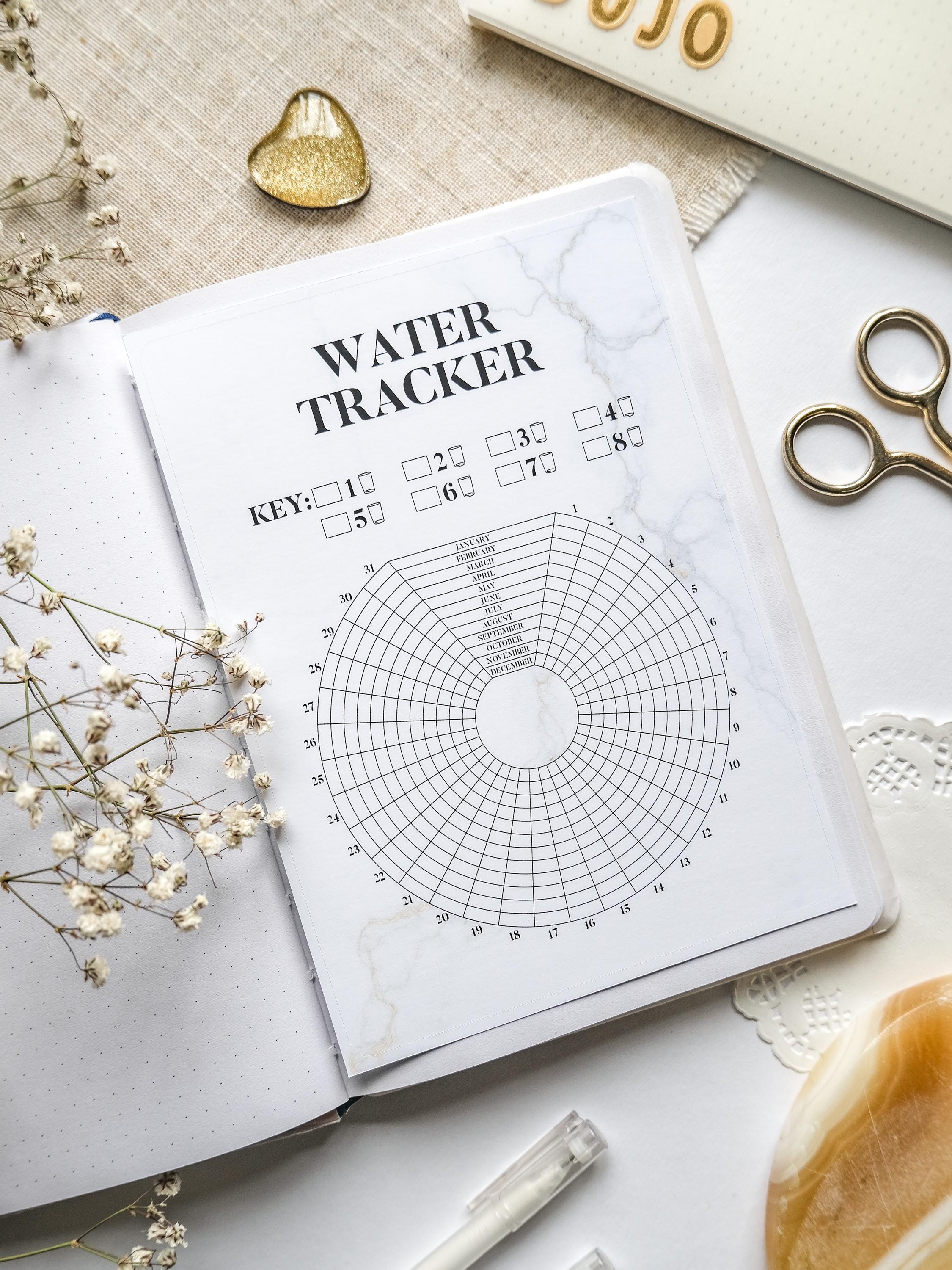 Yearly Water Tracker Sticker for A5 Journal | Hydration Tracker Stick ...