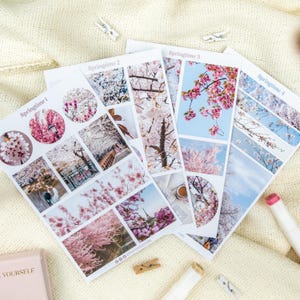 Adesivi primaverili, adesivi floreali, adesivi con fiori di ciliegio, adesivi con sakura, adesivi primaverili, adesivi stagionali per diari e agende