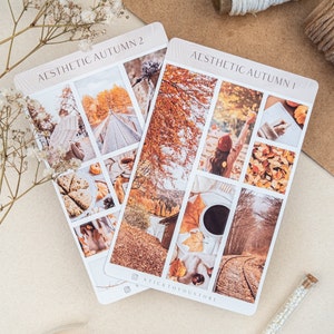 May include: Two sheets of stickers with an autumn theme. The first sheet is titled "Aesthetic Autumn 1" and features images of fall leaves, a woman in a red hat, a cup of coffee, and a train track. The second sheet is titled "Aesthetic Autumn 2" and features images of a path through a forest, a cup of coffee, and a pile of leaves.