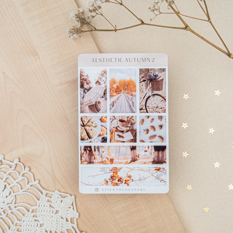 May include: A sheet of aesthetic autumn themed stickers with images of a bridge, a bicycle, a cup of coffee, a book, pine cones, and fall leaves. The sticker sheet is labeled "Aesthetic Autumn 2" and has the logo "StickToYouStore" at the bottom.