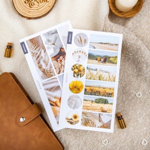Stickers augustus | Zomerstickers | Natuurstickers | Maandelijkse stickerset | Seizoensstickers | Decoratieve stickers voor tijdschriften en planners