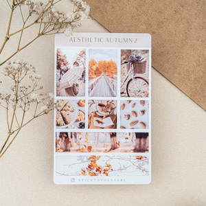 May include: A sheet of aesthetic autumn themed stickers with images of a bicycle, a bridge, a cup of coffee, a book, pinecones, and fall leaves. The stickers are white with black borders and the text "Aesthetic Autumn 2" at the top. The bottom of the sheet has the text "@sticktoyousotre".