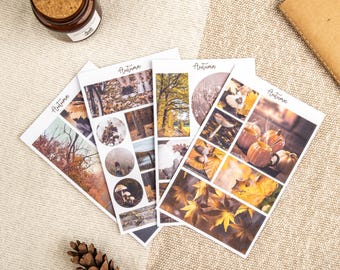 Cozy Autumn Sticker Sheets  | Fall Stickers for Journals & Planners | Seasonal Stickers  | Fall Nature Sticker Set  | Autumn Scene Stickers