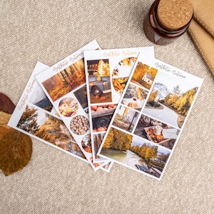 OTOÑO Pegatinas de Bujo de otoño, pegatinas de planificador estéticas de temporada para cualquier diario, álbum de recortes, cuaderno, agenda, vibraciones de otoño y octubre.