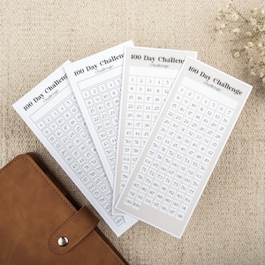 Sticker 100 dagen challenge-tracker | Doelentracker | Gewoonte-trackerstickers | Sticker doelvoortgang | Zelfverzorgingsstickers | Motivatiesticker