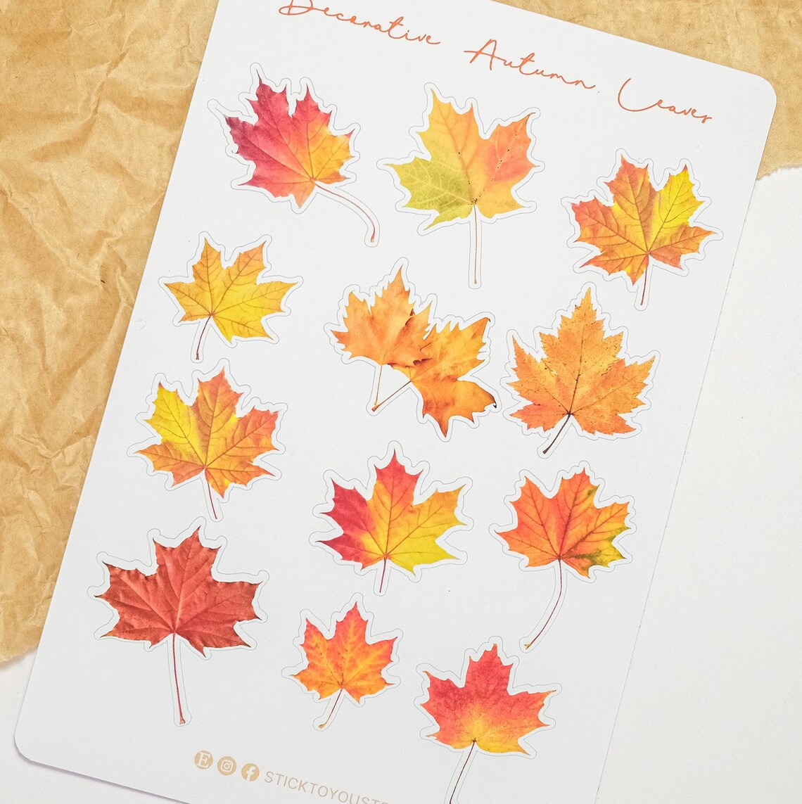 Autumn Leaf Sticker Sheet | Fall Leaves Stickers | Seasonal Stickers ...