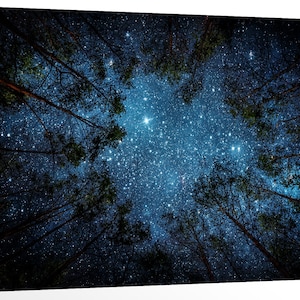 Beautiful Night Sky Milky Way over Trees Forest Nature Landscape Stars Photography Wrapped Canvas Print Wall Art Office Decor Home Decor