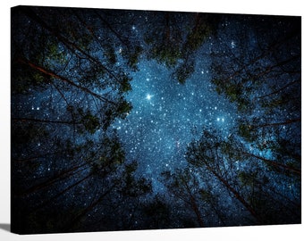Puede incluir: Un cielo nocturno lleno de estrellas, visto desde abajo de la copa de un bosque oscuro. Los árboles están silueteados contra el cielo estrellado brillante.