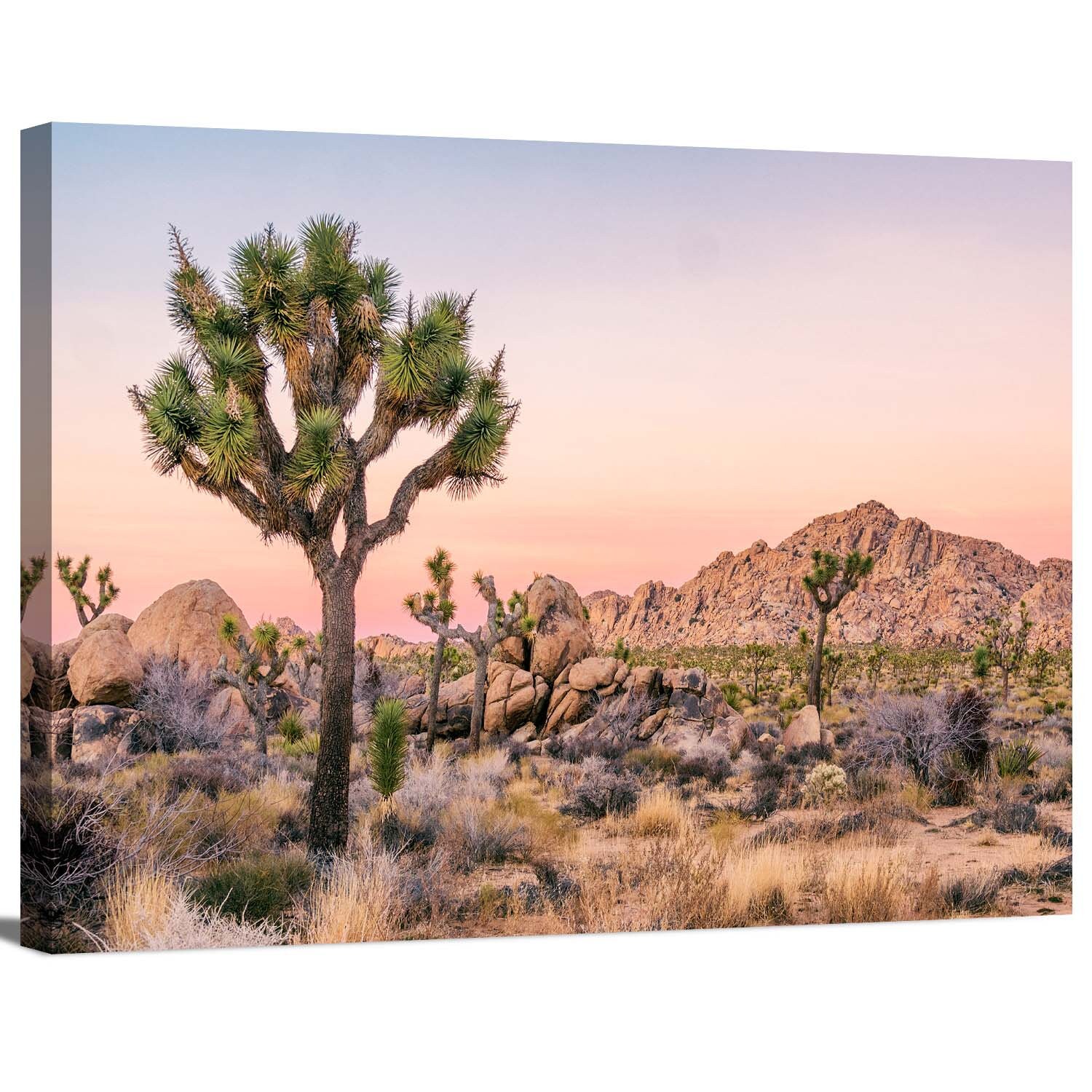 Joshua Tree Landscape in Joshua Tree National Park CA Scenic | Etsy