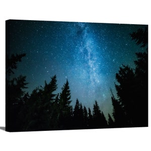 Milky Way over Trees Forest Nature Landscape Night Sky Stars Galaxy Astronomy Photography Canvas Wall Art Office Decor Home Decoration