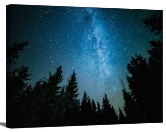 Milky Way over Trees Forest Nature Landscape Night Sky Stars Galaxy Astronomy Photography Canvas Wall Art Office Decor Home Decoration