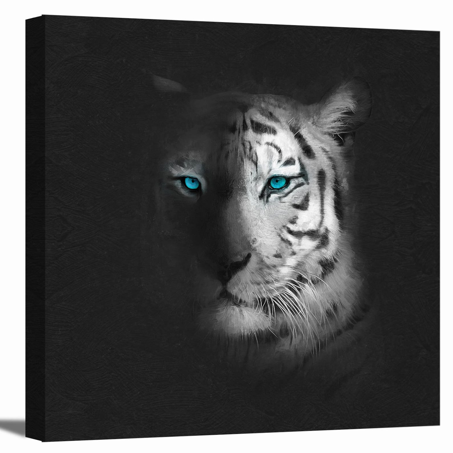White Tiger with Blue Eyes Black Background Animal Artwork Etsy
