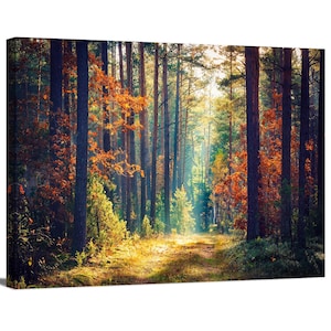 Morning Sun Rays in Colorful Forest Pathway Branches of Autumn Trees Scenery of Nature Wrapped Canvas Print Wall Art Office Decor Home Decor