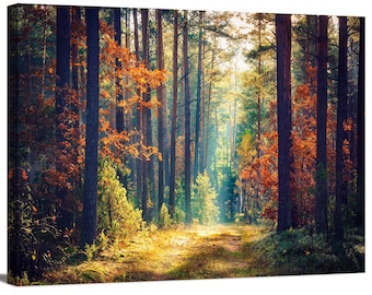 Morning Sun Rays in Colorful Forest Pathway Branches of Autumn Trees Scenery of Nature Wrapped Canvas Print Wall Art Office Decor Home Decor