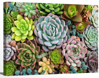 24x24Inch Paimuni Gray White Floral Succulent Plant Painting Modern Canvas Wall Art Printing with Embellishment Wall Decor Flower Pictures for Living Room Bathroom Bedroom Ready to Hang 24x24Inch Paimuni Gray White Floral Succulent Plant Painting Modern Canvas Wall Art Printing with Embellishment Wall Decor Flower Pictures for Living Room Bathroom Bedroom Ready to Hang