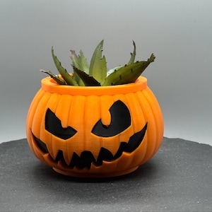 May include: Orange pumpkin-shaped planter with a carved jack-o'-lantern face. The planter is filled with a green succulent plant.