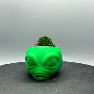 Alien Head Planter - Unique Design for Plants, Versatile Use, 3D Printed