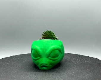 Alien Head Planter, UFO Succulent Pot, 3D Printed Sci-Fi Plant Pot, Quirky Alien Gift, Nerdy Desk Decor, Outer Space Air Plant Holder
