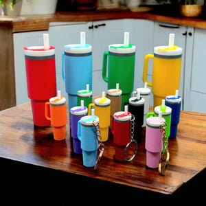 Stanley Inspired Tumbler Keychain, Stanley Inspired Cup Keychain, Tumbler Keychain, Stanley Charm, Stanley Chroma Flowstate, Stanley Rainbow