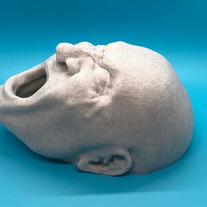 May include: A white 3D printed sculpture of a person's head with their mouth open in a scream. The sculpture is made of a textured material that resembles stone.