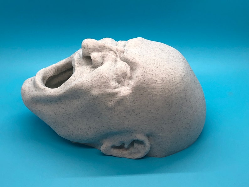 May include: A white 3D printed sculpture of a person's head with their mouth open in a scream. The sculpture is made of a textured material that resembles stone.