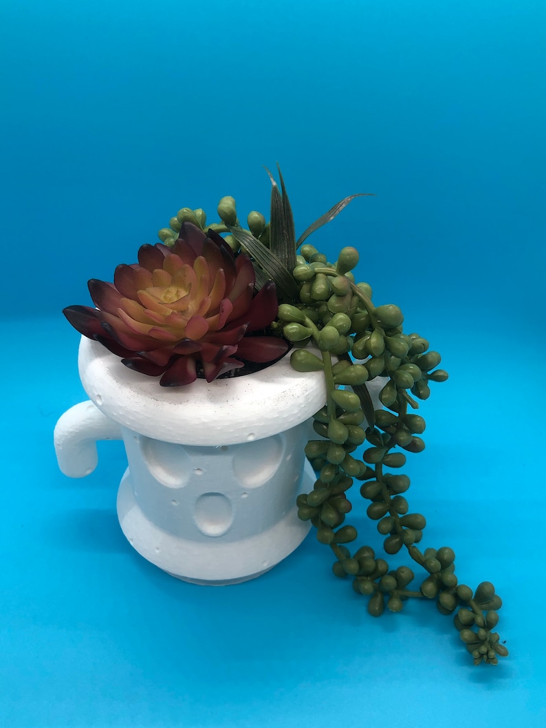 May include: White ceramic ghost-shaped planter with a surprised expression, holding a succulent with burgundy and green leaves and a trailing string of green beads.
