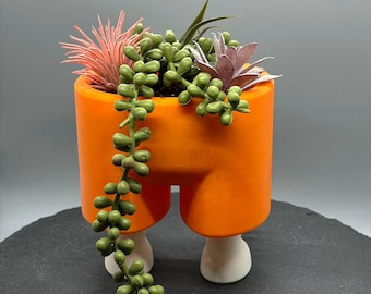 Pants Planter, Funny Jeans Succulent Pot, 3D Printed Quirky Plant Pot, Novelty Plant Lover Gift, Cute Desk Decor, Air Plant Holder