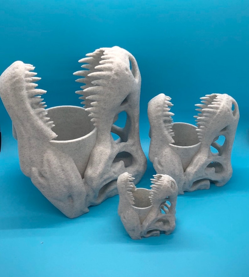 May include: Three white dinosaur skull planters, the largest is open-mouthed with a smaller skull planter inside, the smallest is a separate planter.