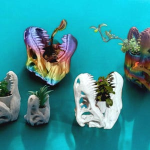 Maceta T-Rex, Maceta de dinosaurio, Maceta con calavera de dinosaurio, Maceta con fósiles, Decoración de escritorio T-Rex, Maceta con calavera de dinosaurio, Maceta para suculentas de dinosaurio, Maceta con dinosaurio