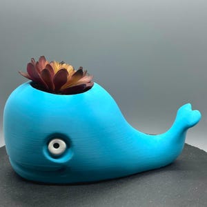 May include: A blue whale-shaped planter with a single succulent plant inside. The planter has a white eye and a small tail fin.