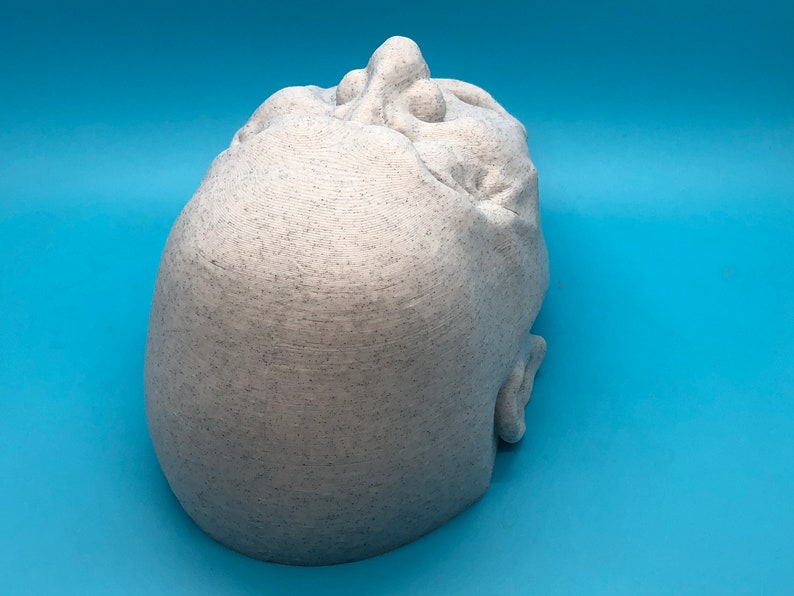 May include: A white 3D printed sculpture of a human head with a textured surface.
