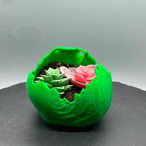 Könnte beinhalten: Ein grüner 3D-gedruckter Pflanztopf mit einer rauen, strukturierten Oberfläche. Der Topf ist mit Erde gefüllt und hat zwei kleine Sukkulenten, eine grüne und eine rosa.