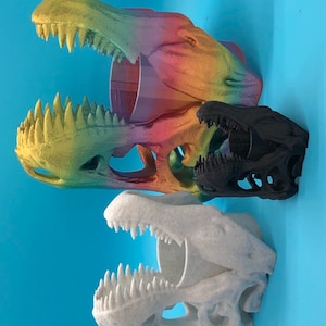 May include: Three dinosaur skull-shaped cups, one rainbow, one black, and one white.