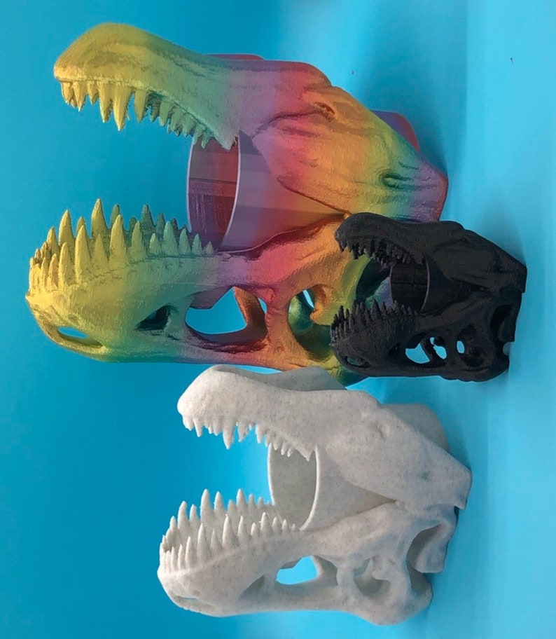 May include: Three dinosaur skull-shaped cups, one rainbow, one black, and one white.