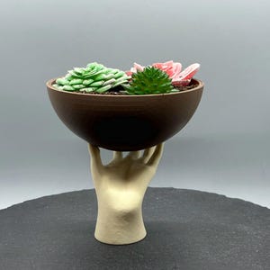 May include: A brown wooden bowl with three succulent plants sits on a white hand-shaped stand. The stand is on a black surface.