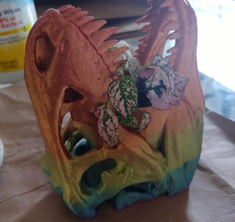 May include: A 3D printed dinosaur skull planter with a rainbow gradient finish. The planter is filled with a small green plant with white speckles.