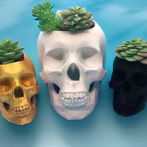 Skull Planter, Skull Plant Pot, Skull Succulent Planter, Skeleton Planter, Goth Plant Pot, Witchy Planter, Skull Anatomy Replica, Goth Decor