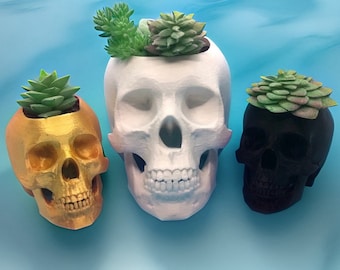 Skull Planter, Skull Plant Pot, Skull Succulent Planter, Skeleton Planter, Goth Plant Pot, Witchy Planter, Skull Anatomy Replica, Goth Decor