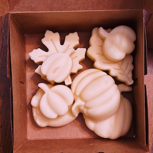 Fallen Leaves Duftwachs Melts: 5 Unzen Sojamischung, Herbstformen