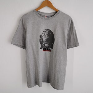 Chaps Shirt Chaps Ralph Lauren Logo T Shirt Size L