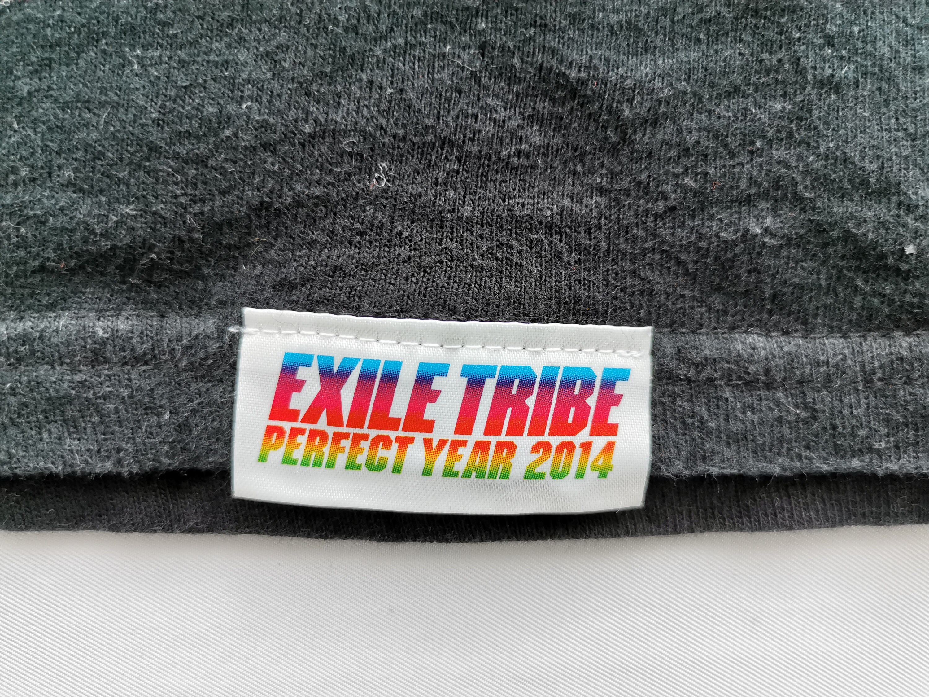 EXILE TRIBE/EXILE TRIBE PERFECT YEAR LI… EXILE TRIBE PERFECT YEAR LIVE TOUR TOWER OF WISH 2014 ~THE